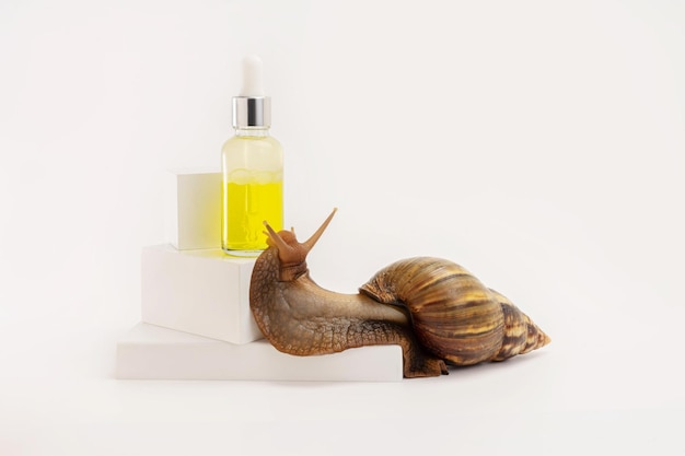 Snail Mucin Benefits: Everything You Need to Know